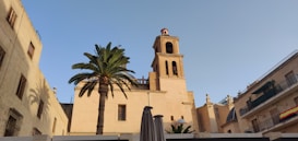 Central to the image is a tall, historical bell tower and an adjacent church-like structure. To the left, a large palm tree provides a touch of greenery, its fronds contrasting against the building's sandy-colored facade. The sky is clear and blue, and residential buildings surround the scene, one with a Spanish flag draped over the balcony. An umbrella partially enters the bottom frame of the photo.