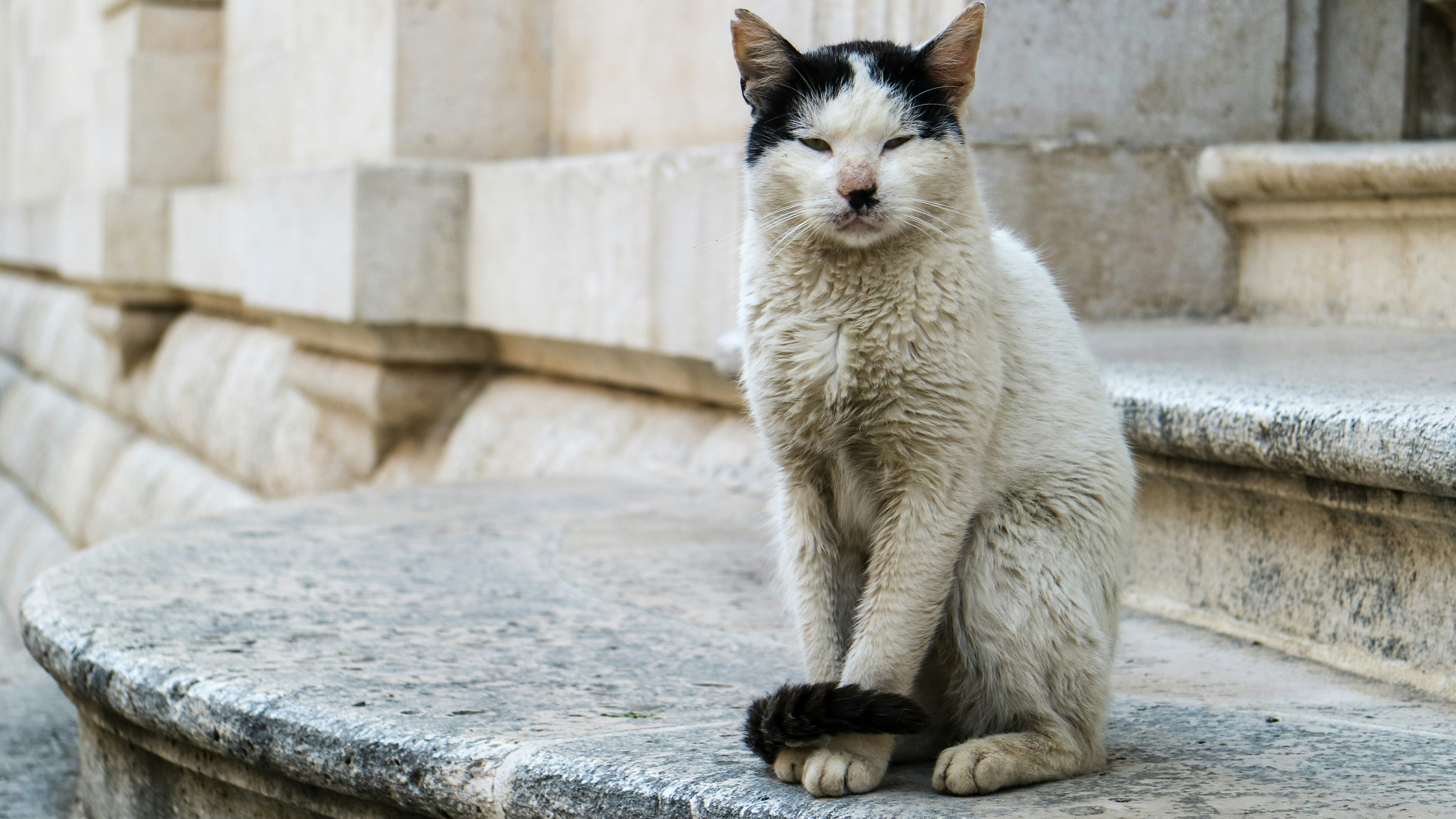 Photo by mrmarkdejong