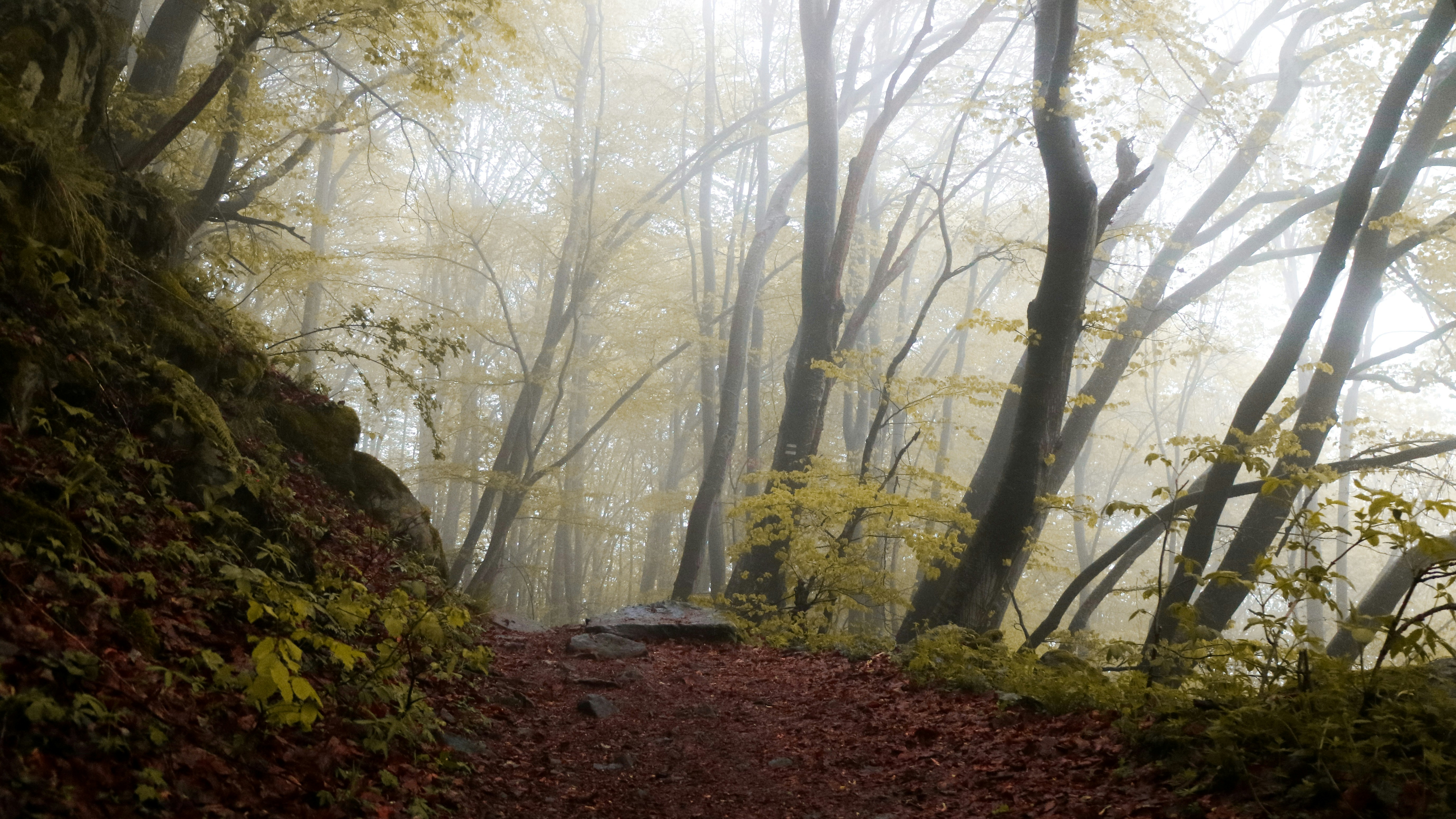 Photo by mrmarkdejong