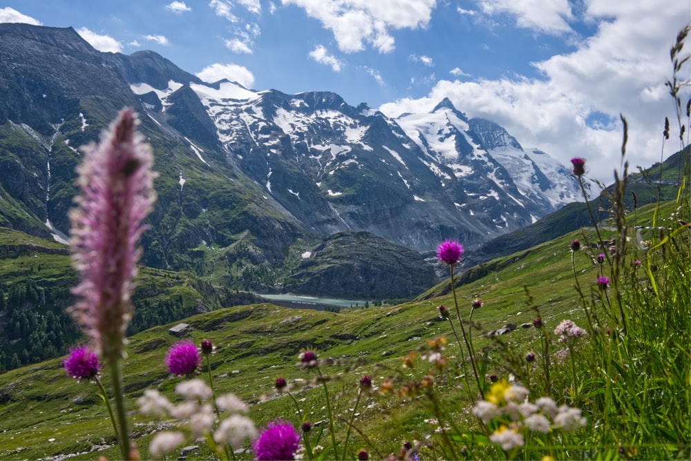 Grünes Grasfeld auf der anderen Seite des Berges während des Tages