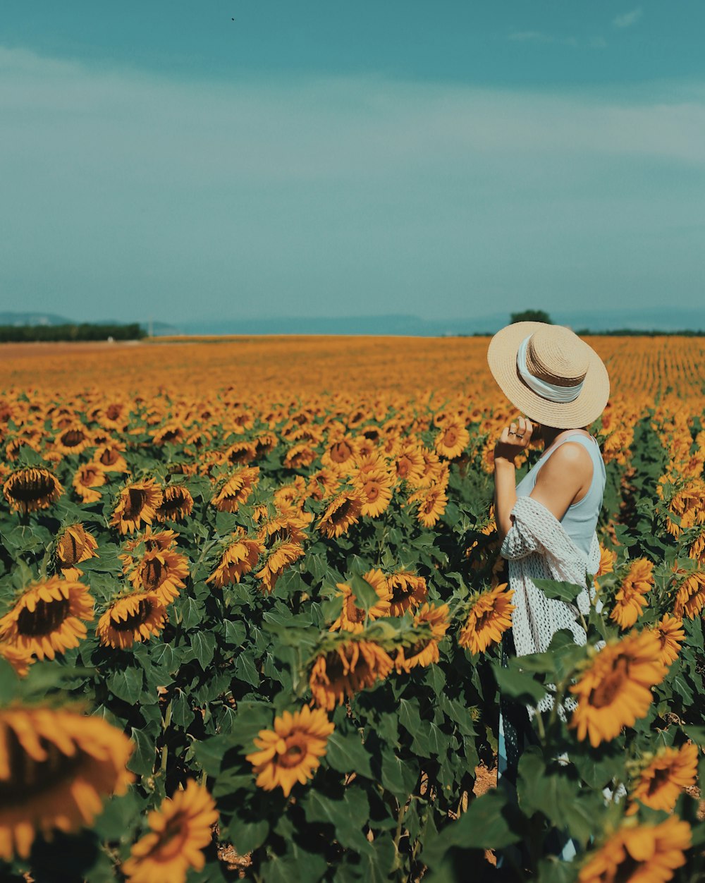 photography of woman standing near sunflower field during daytime