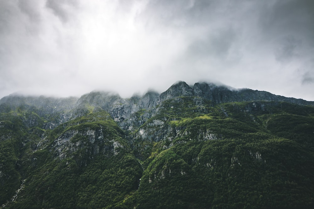 aerial photography of green cliff