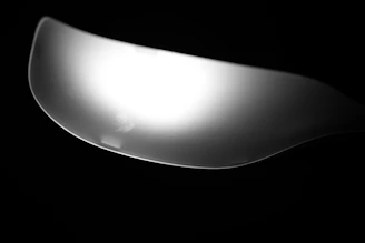 Close-up of a matte black spoon with a smooth, modern design placed beside a small potted succulent.