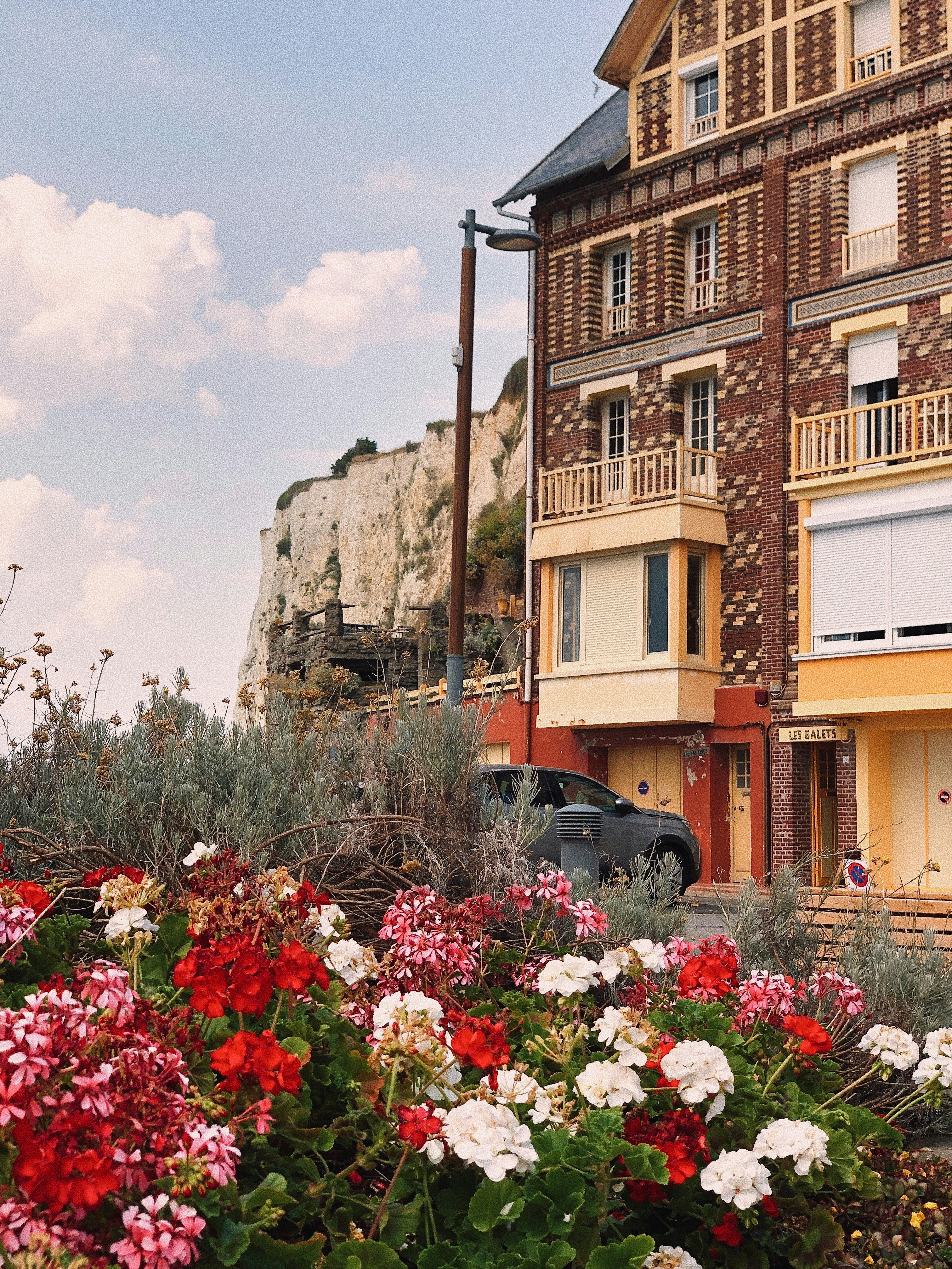 flower garden near house during daytime