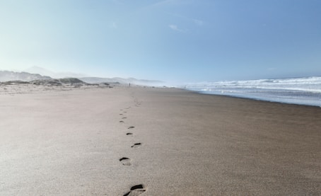 close-up of footprints on shore