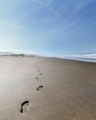 close-up of footprints on shore