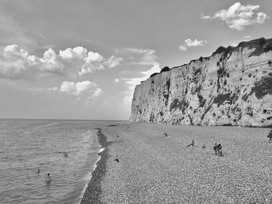 Plage de Mers-les-Bains things to do in Le Tréport