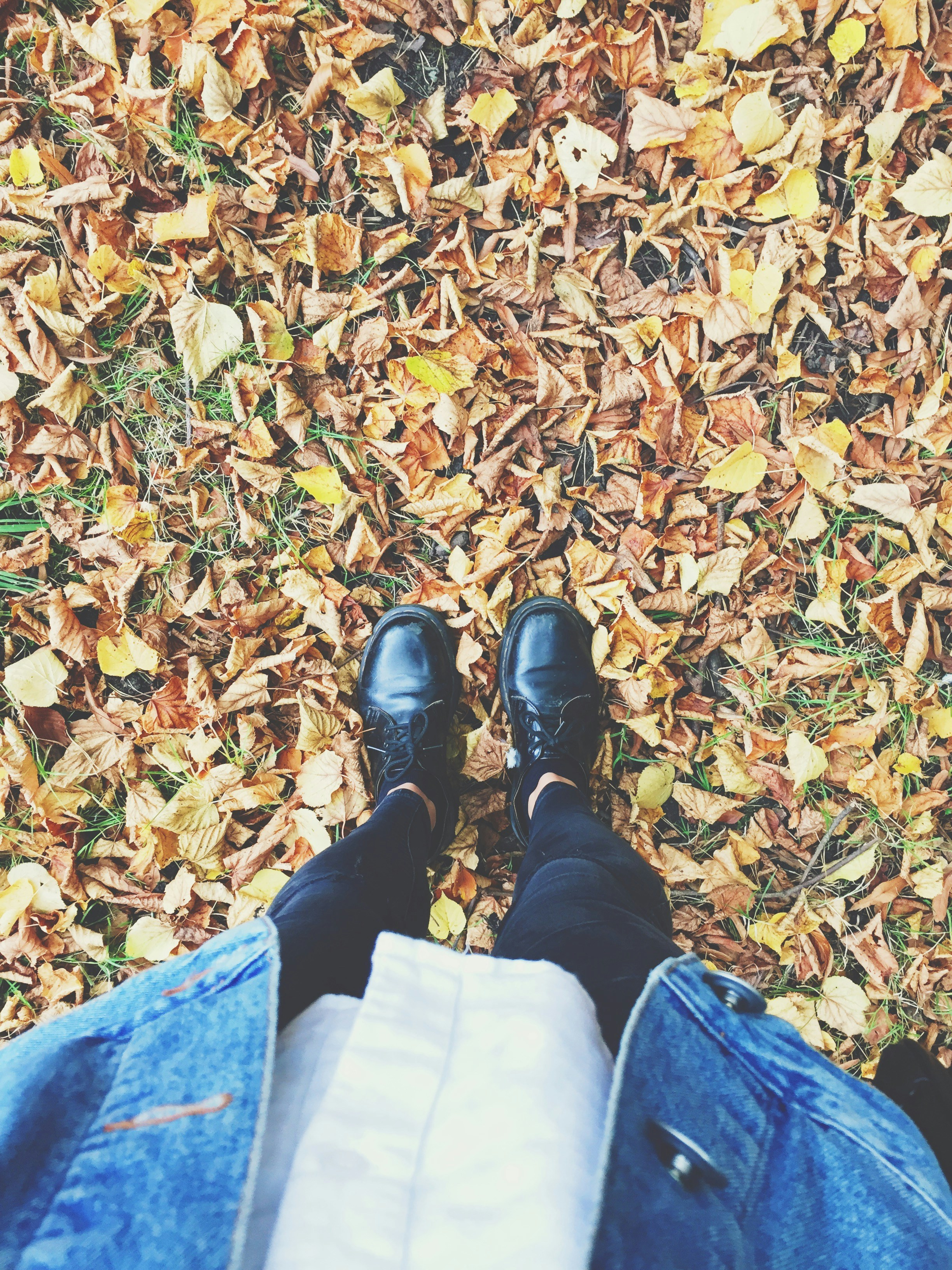 Photo by harveybooth