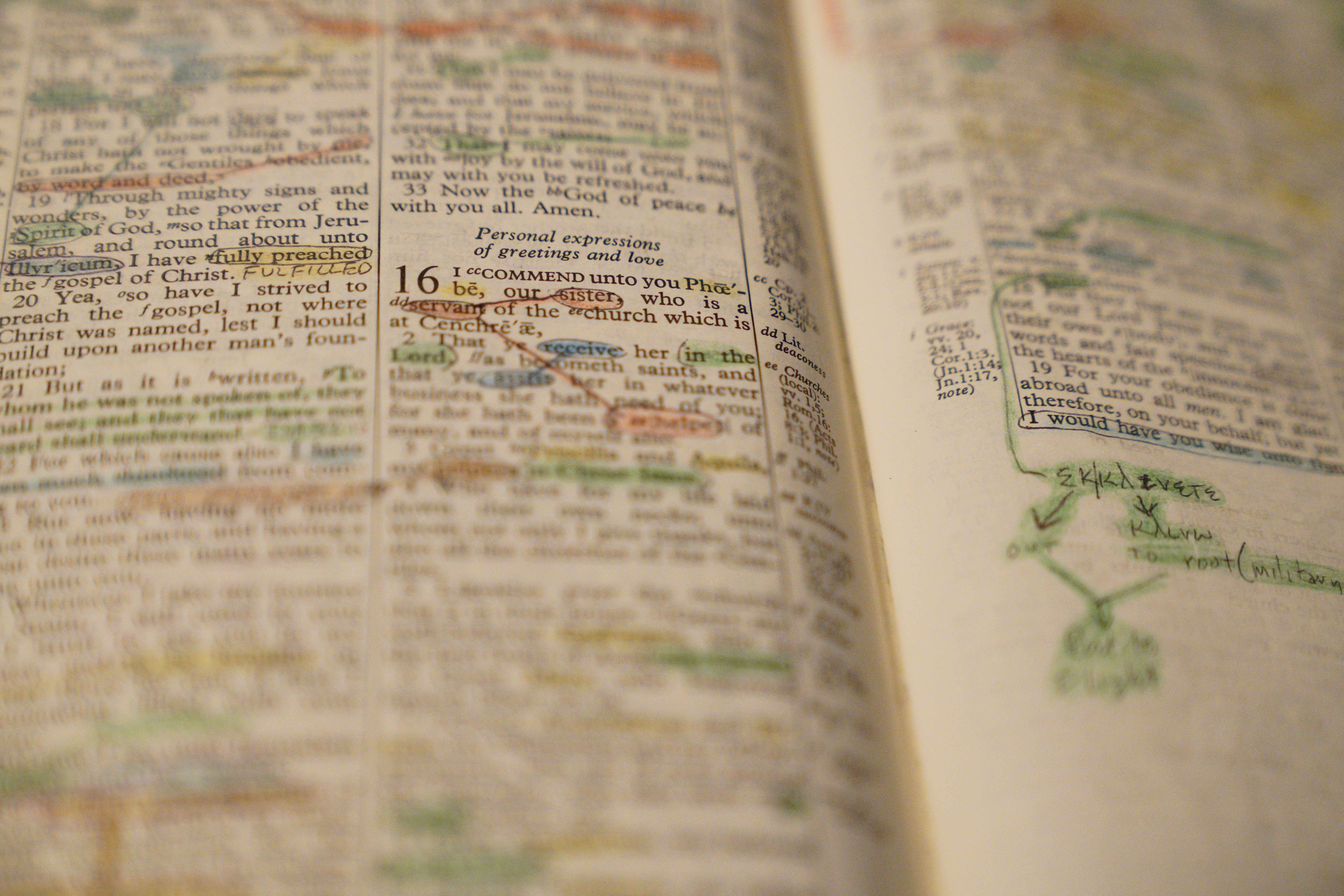 photo 1564183010892 307d9fa37b4a?ixlib=rb 4.0