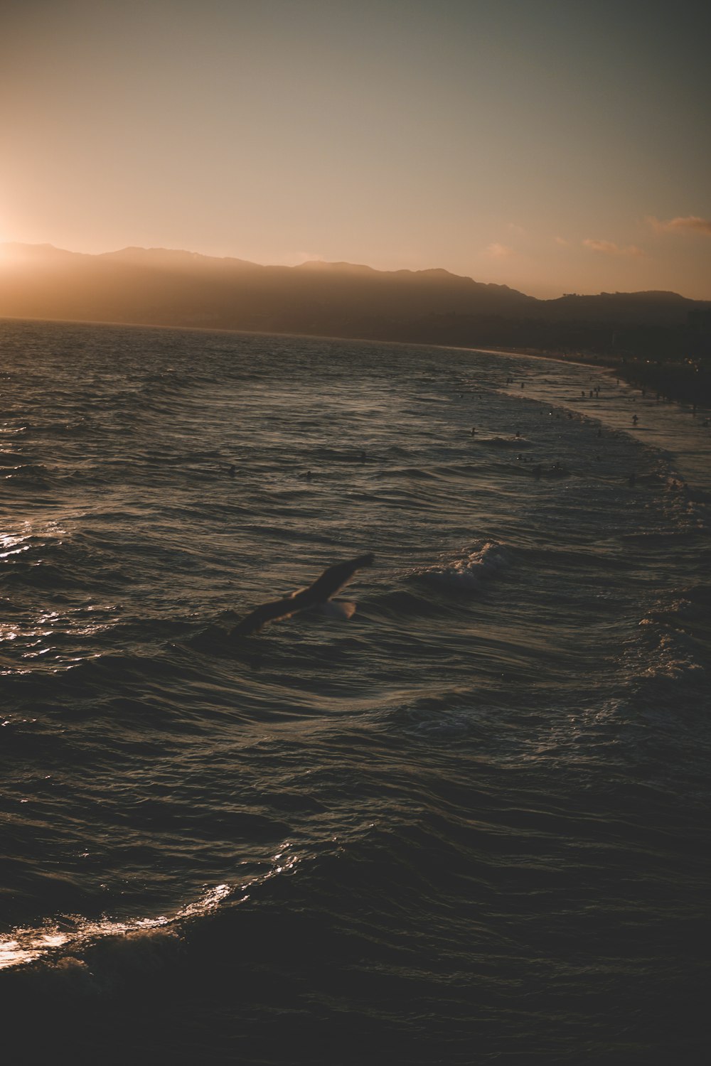 aerial view of sea water