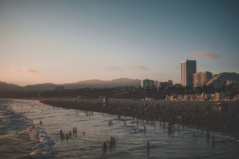 people on beach near city