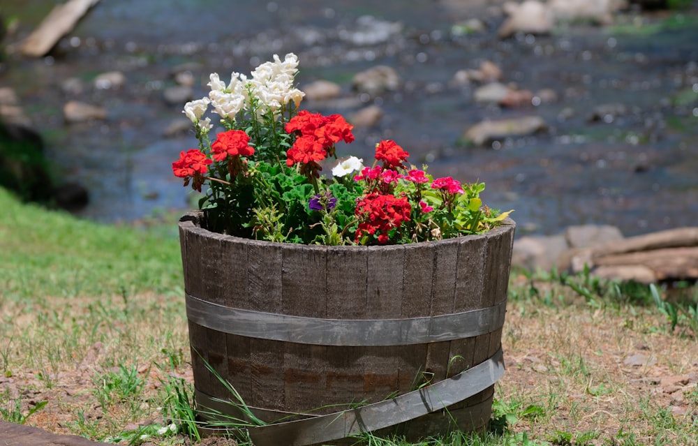 flores de cores variadas no balde de madeira