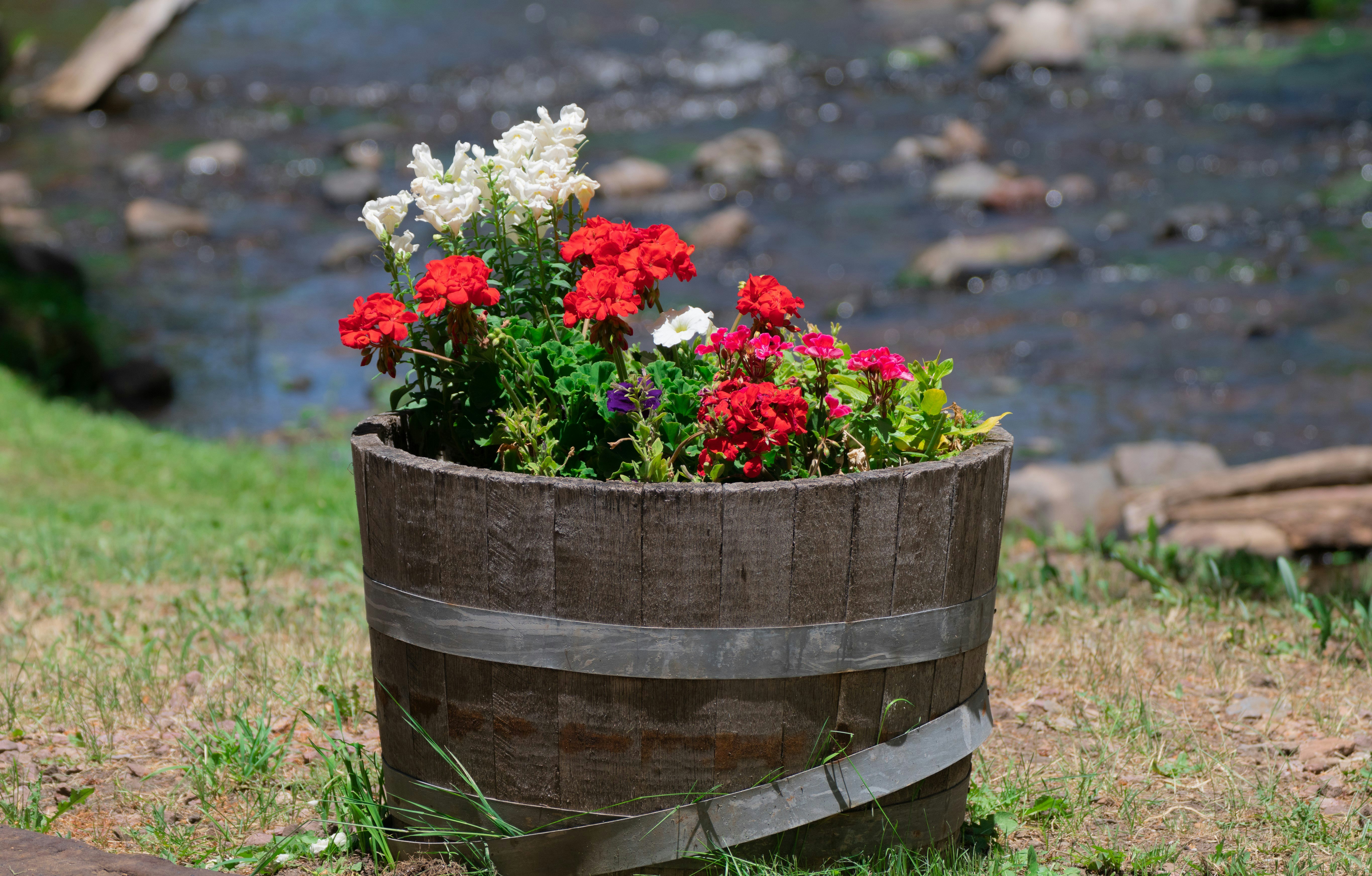 assorted-color flowers in wooden bucket
