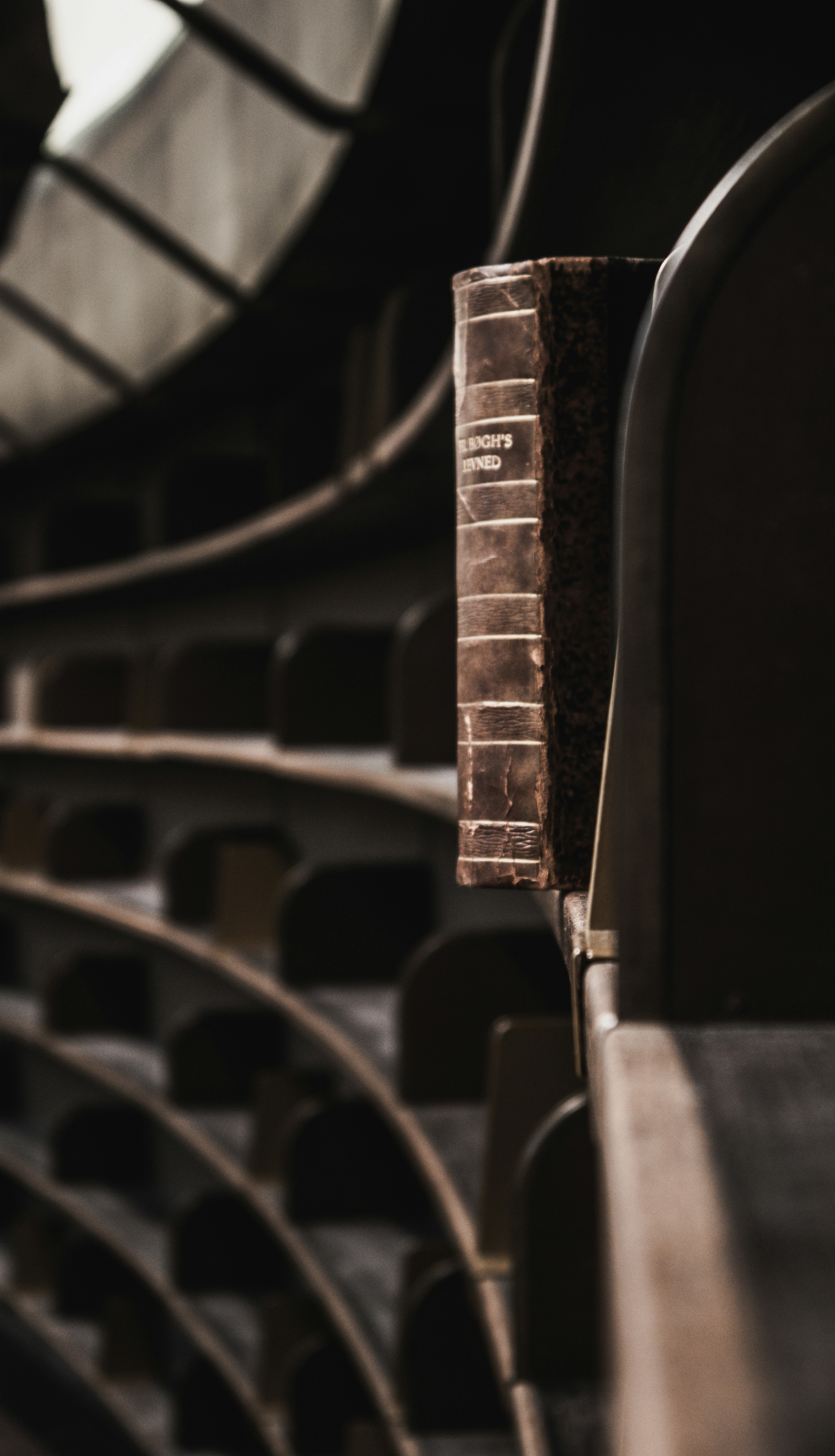 woman wearing yellow long-sleeved dress under white clouds and blue sky during daytime
