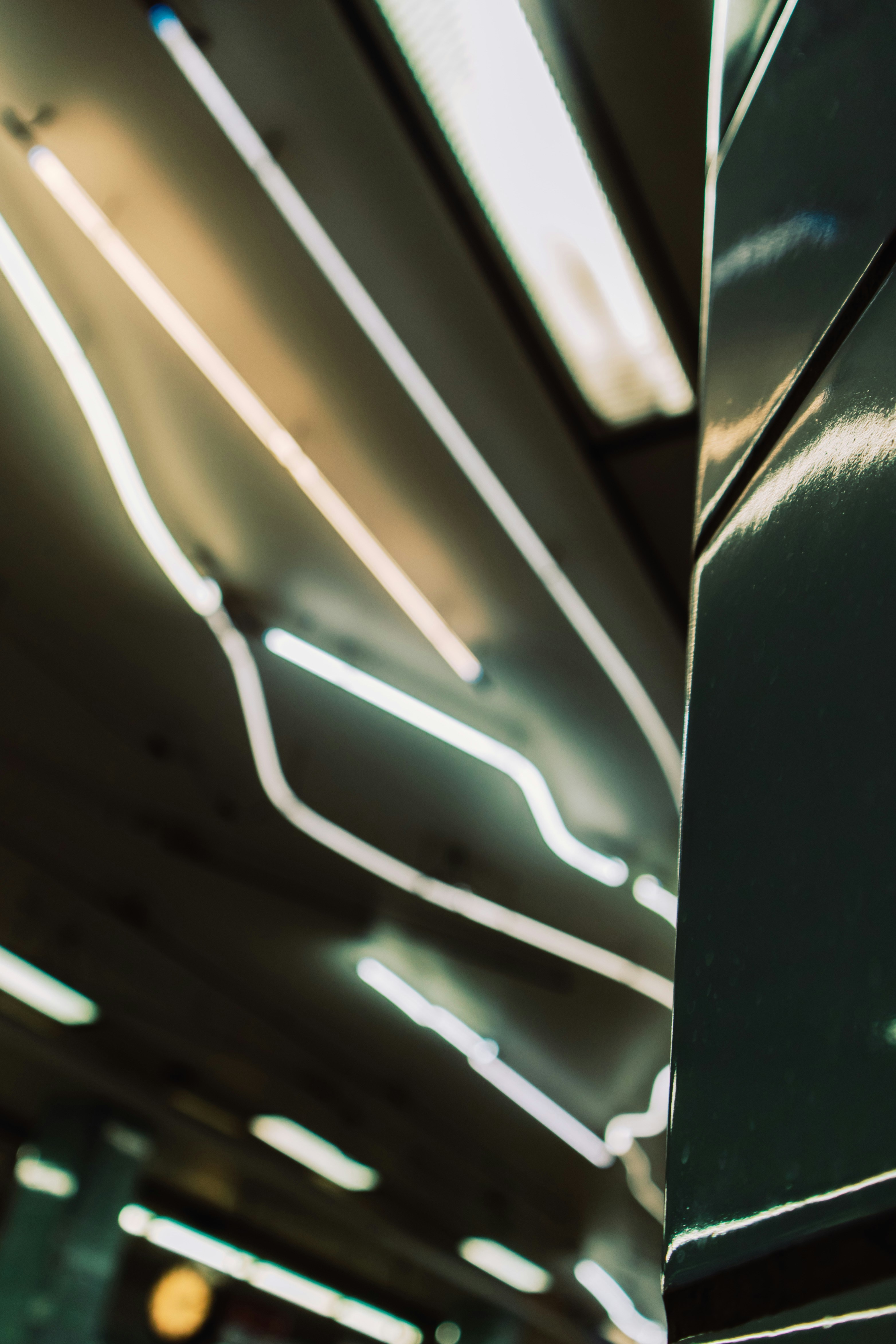 Photo by einfachlaurenz