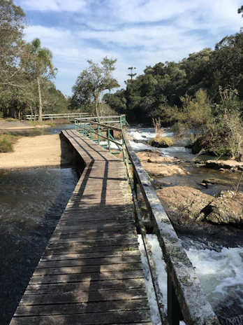 A runner crossing a wooden bridge over a sparkling stream in a forested area.