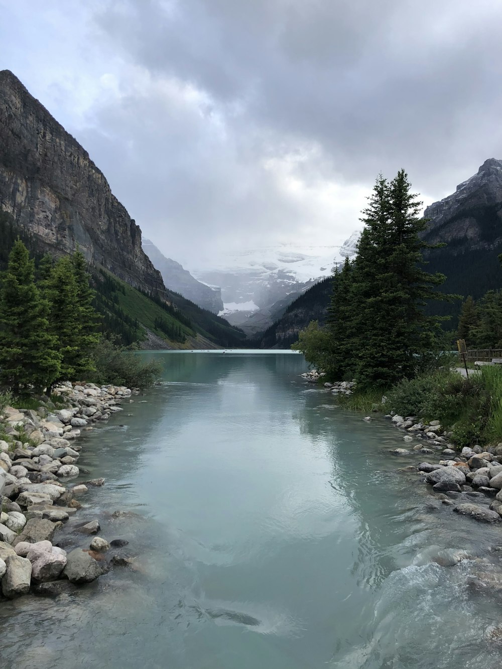 calm body of water between trees