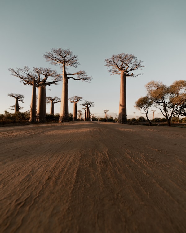 Madagascar