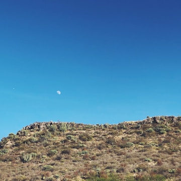 A twilight desert map with glowing cacti and 8-bit stars above.