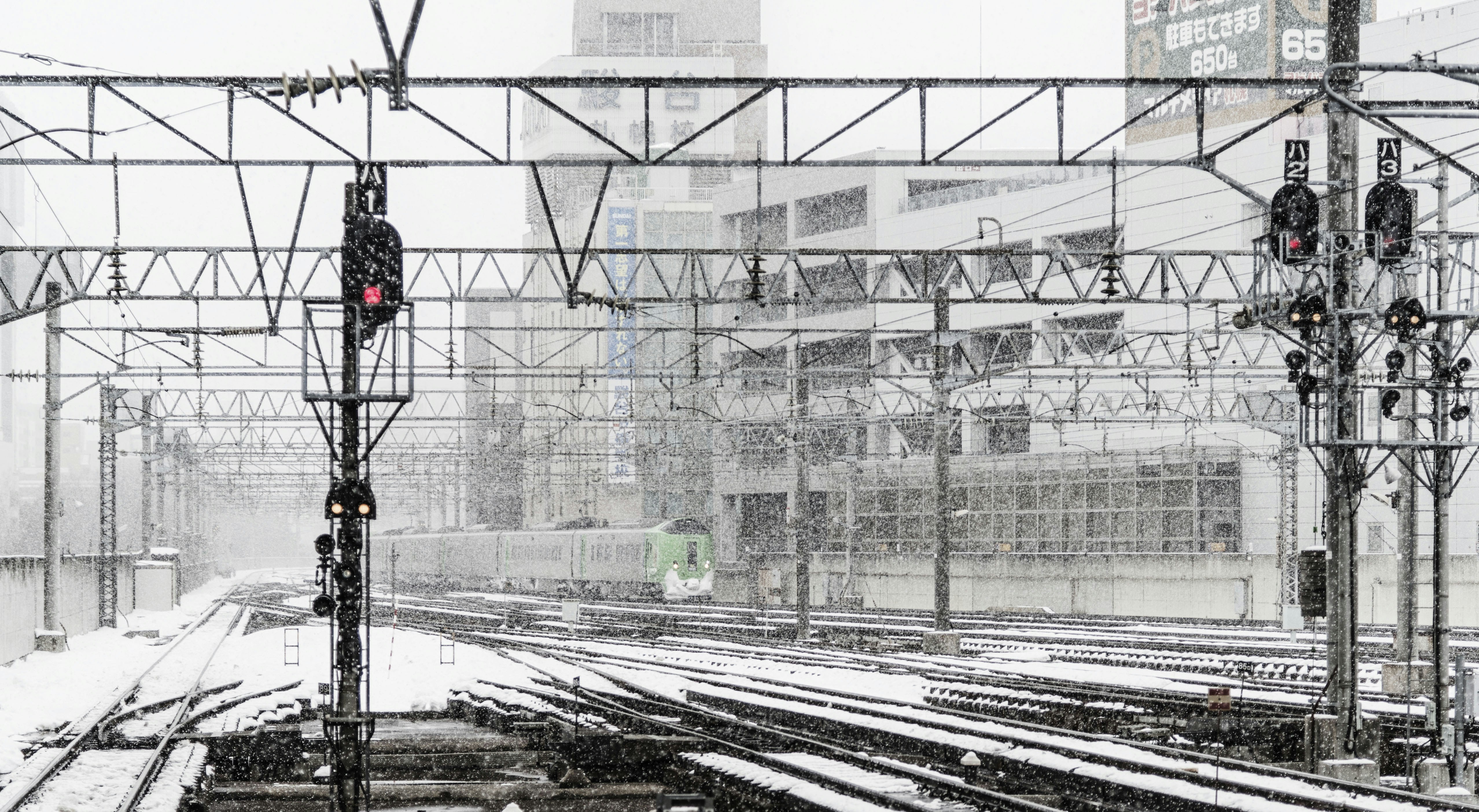 Photo by zhaochen1975