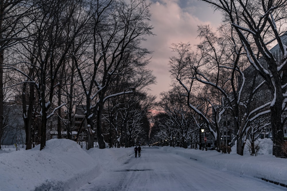 road covered with snow