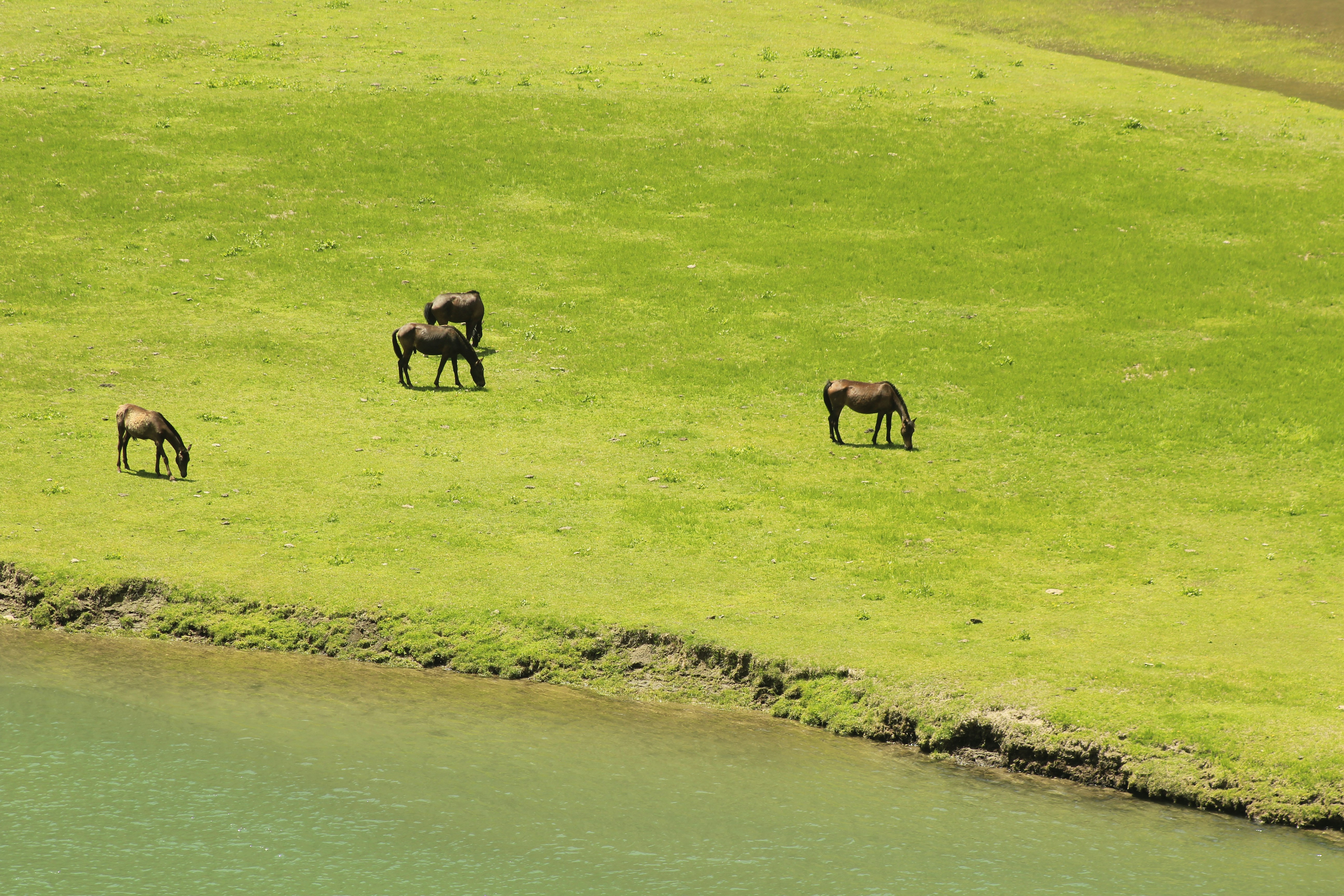 Photo by naveedsarwar