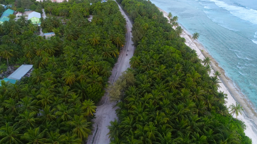 Forest photo spot Dhadimagu Children's Park Maldives