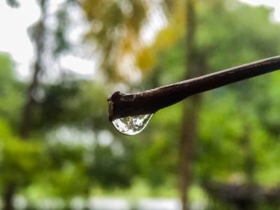 Soft focus image of a single droplet of water hanging from a thin branch