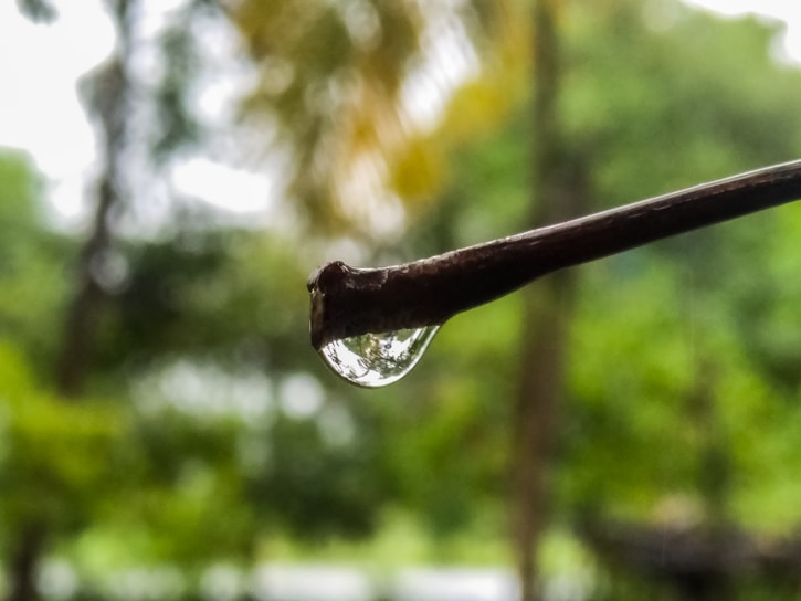 A close-up of a crystal-clear drop of water falling into a serene natural pool surrounded by lush greenery.