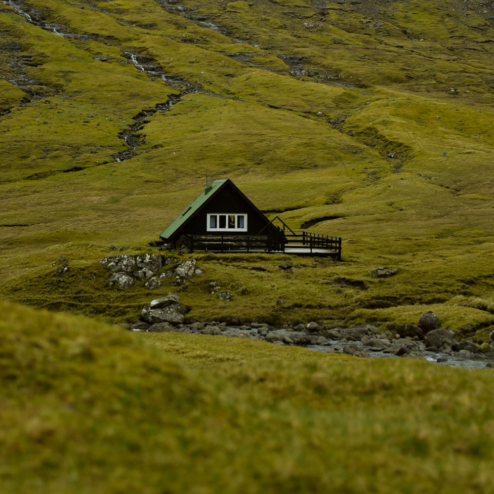 black and green house selective photography