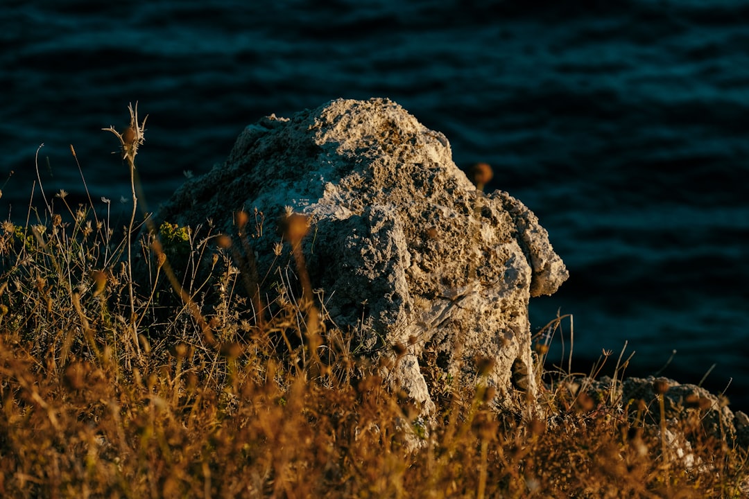 brown rock near body of water