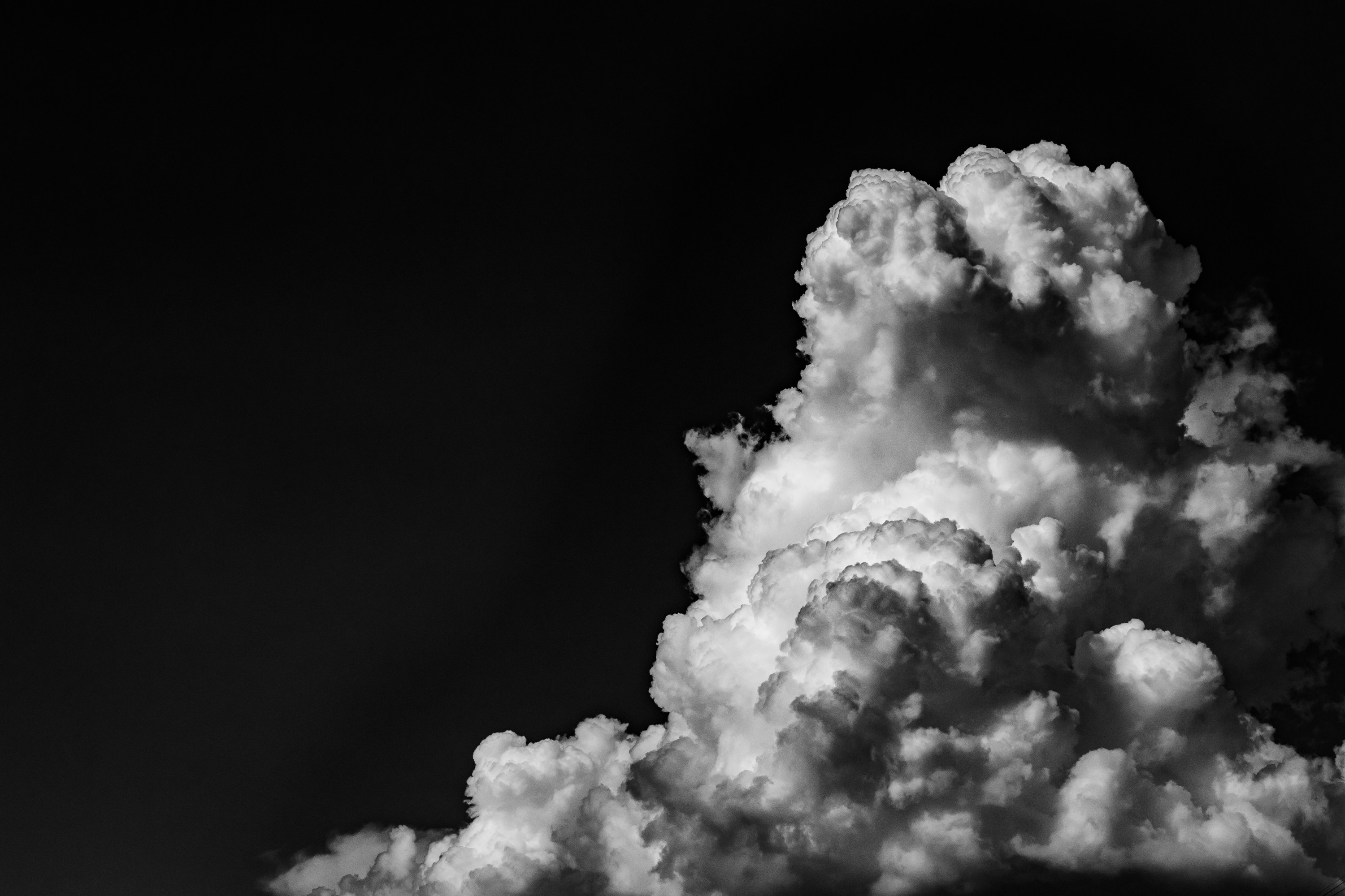 Photo by square_brain