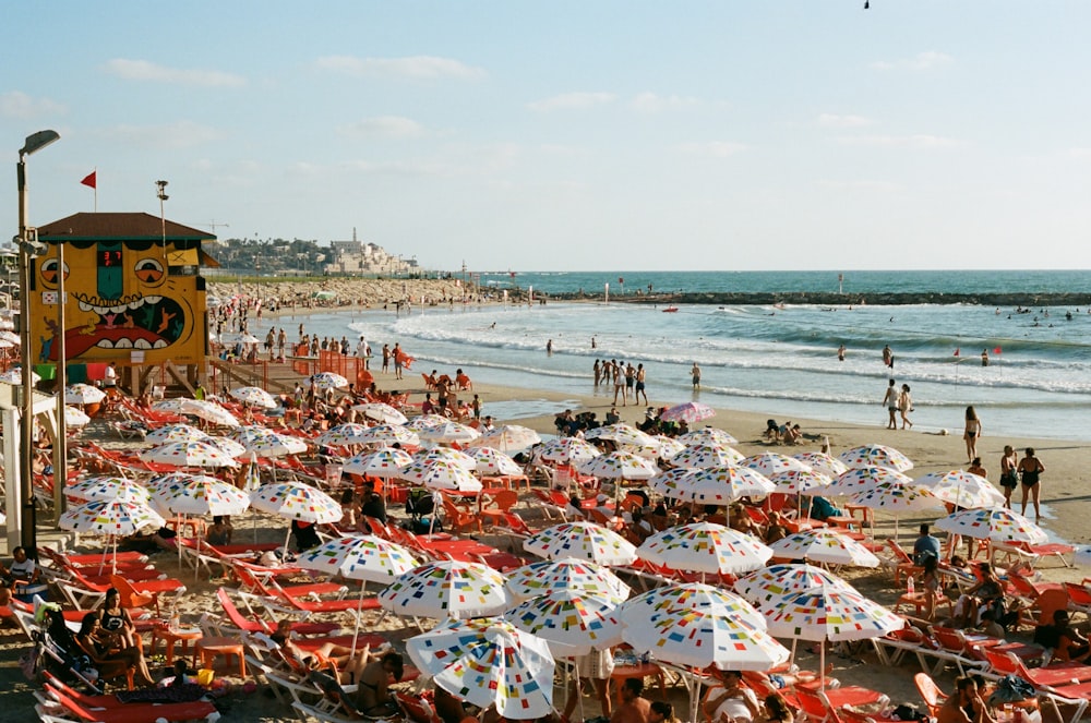 people in crowded beach