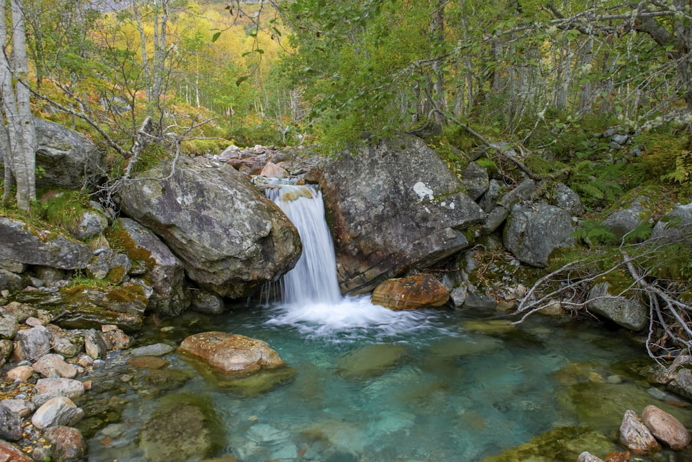 photography of river between green trees during daytime