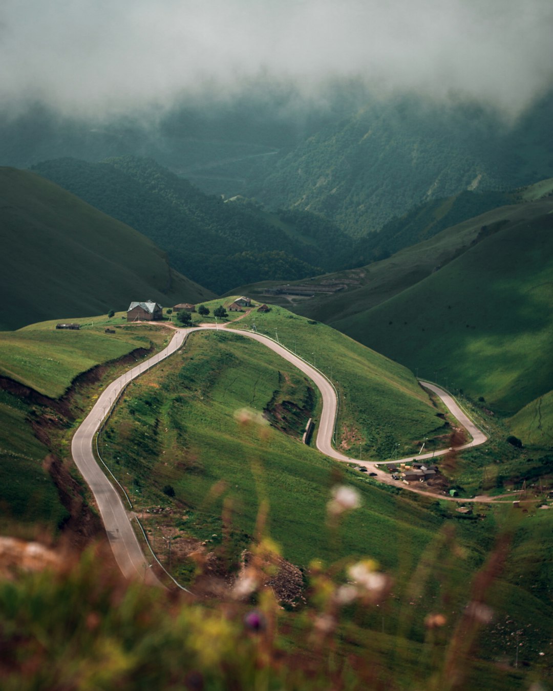 road between green grass near mountain
