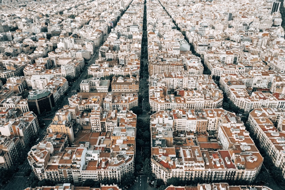 lotto di edifici marroni