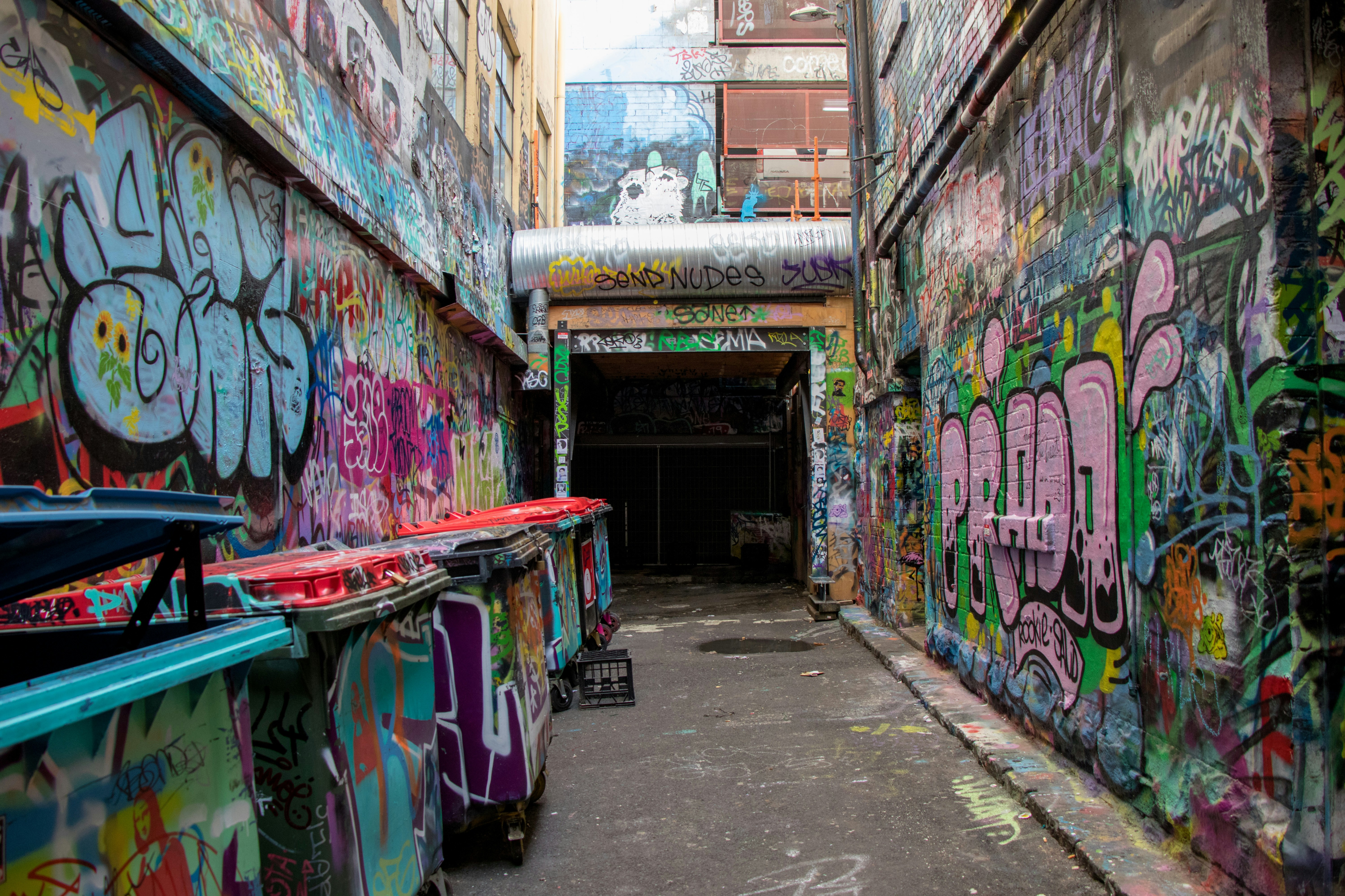 Melbourne laneways with art and boutique shops
