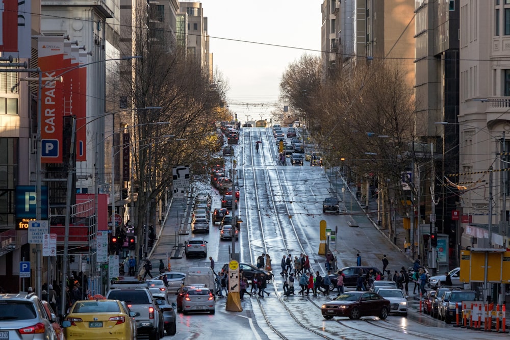 people crossing on road