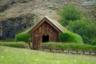 A rustic wooden house with a grass-covered roof is nestled in a lush landscape. The building blends into the natural surroundings with its weathered wood and green overgrowth. It sits against a backdrop of rocky hills and dense greenery.