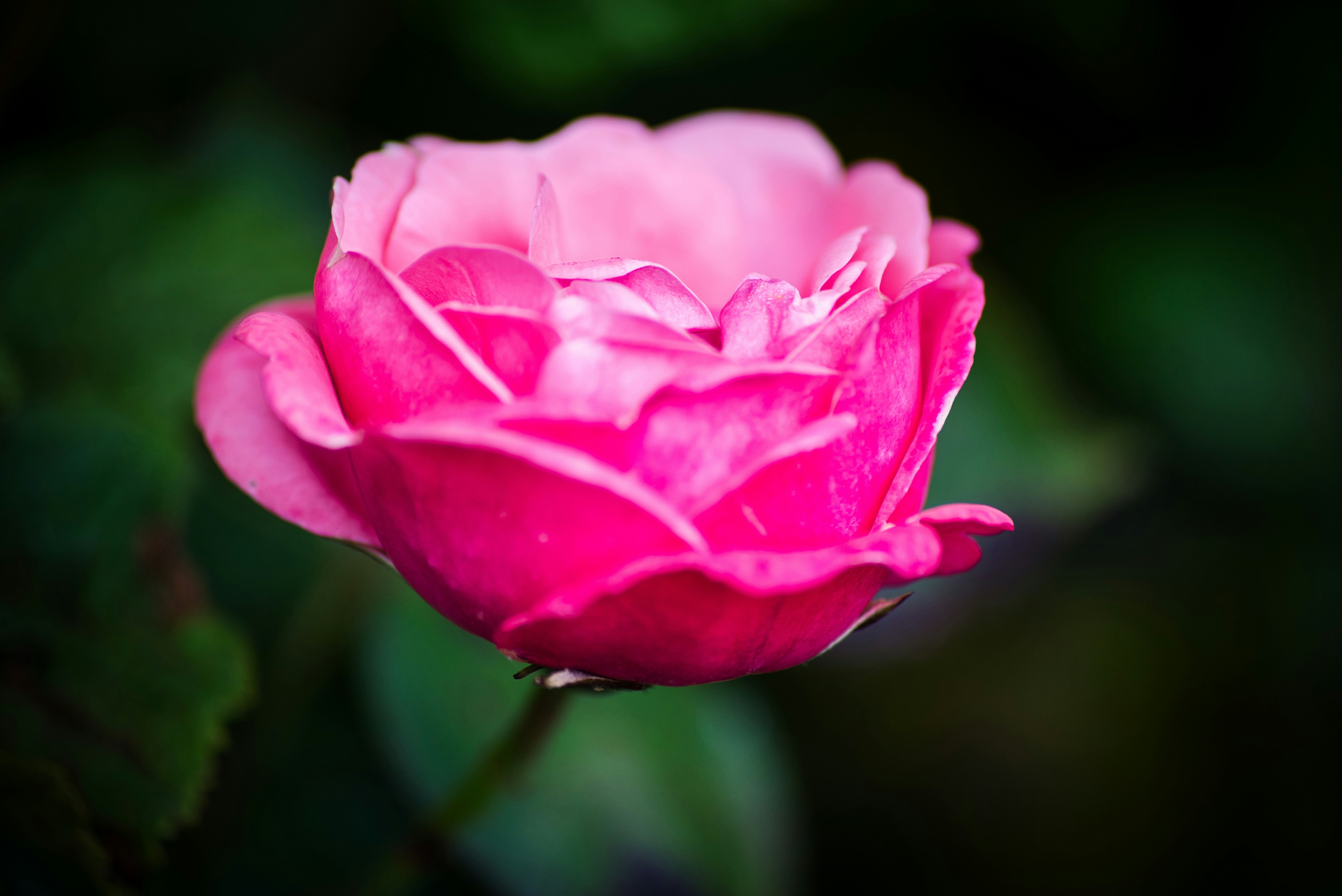 Photo by darrencoleshill