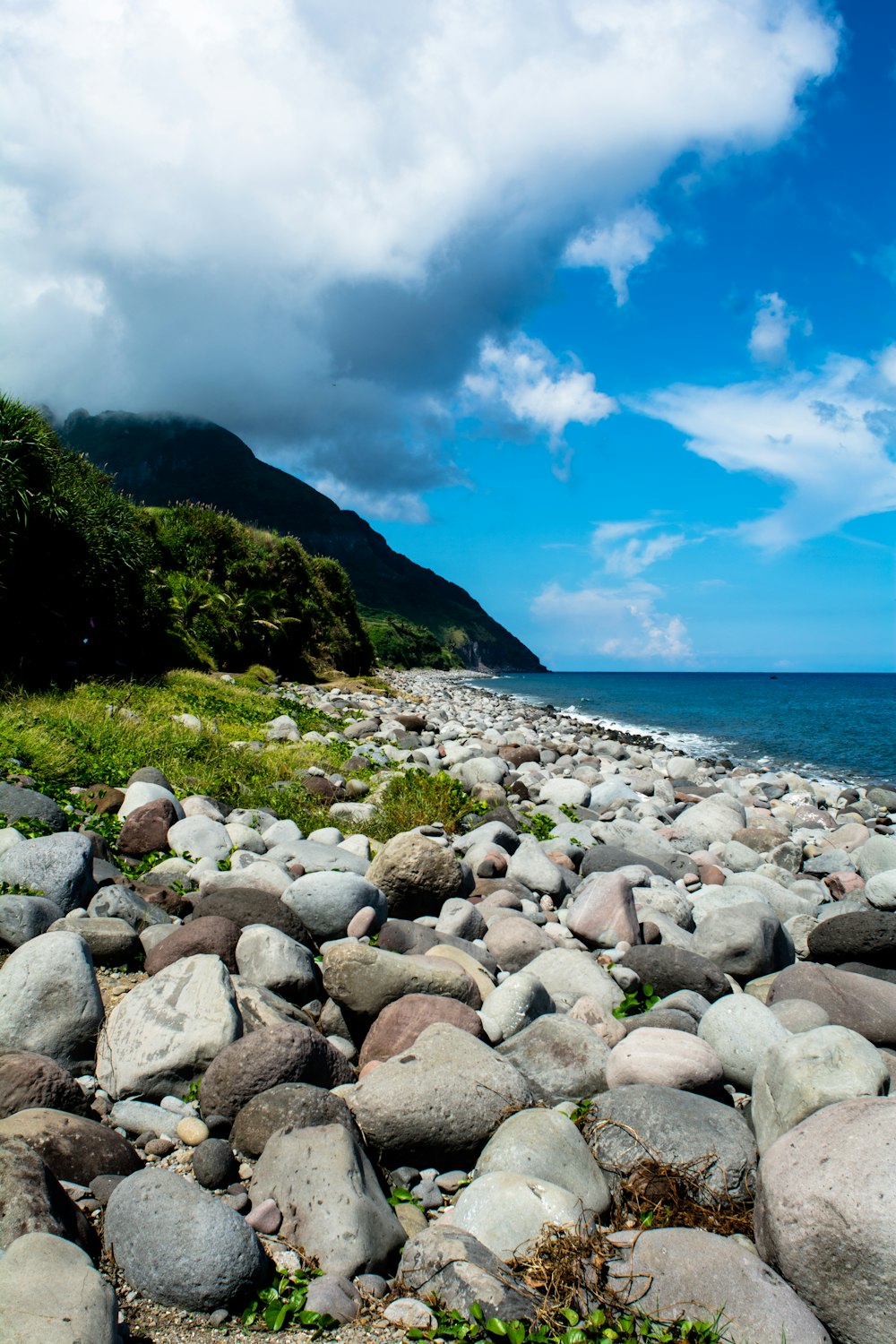 gray and brown rocks and green terrain near body of water