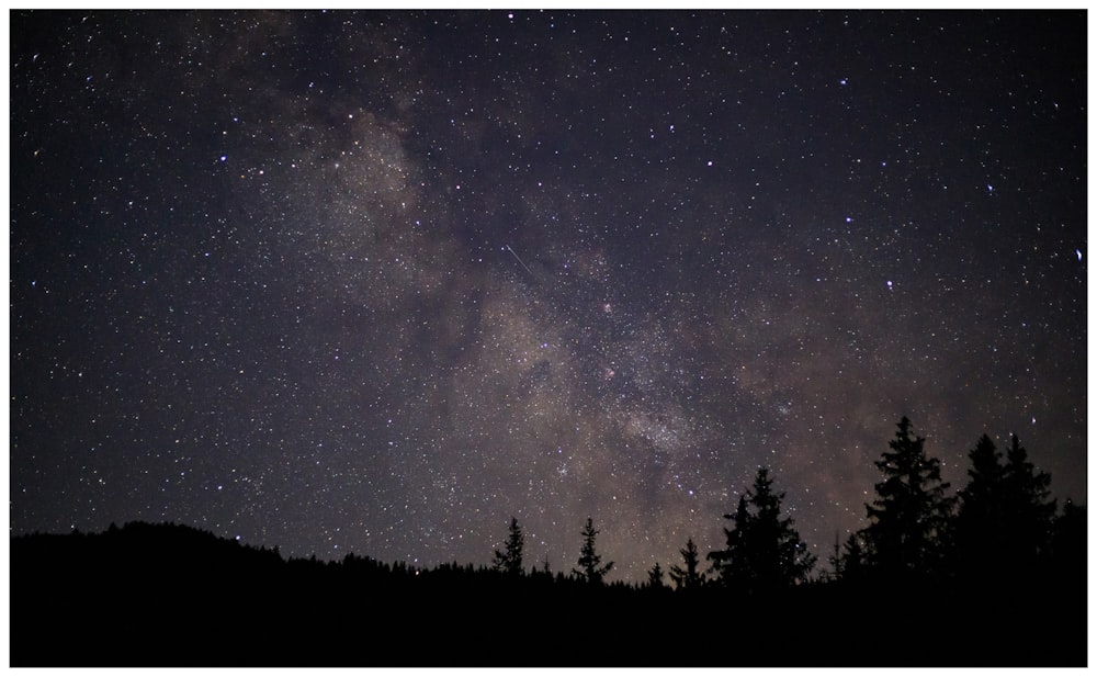 brown and purple milky way