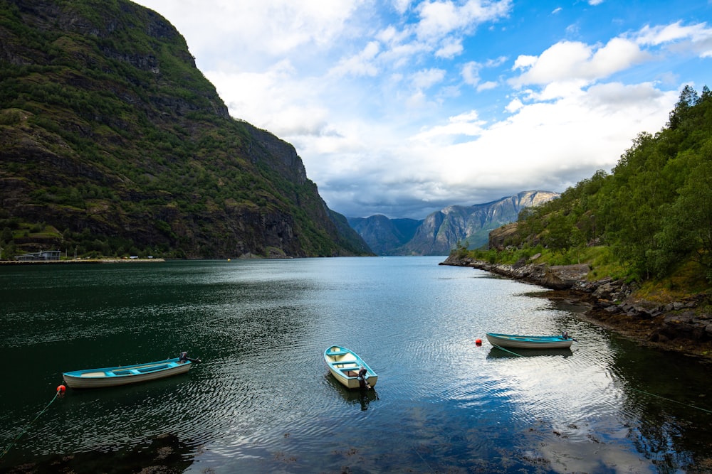 three boats in body of water