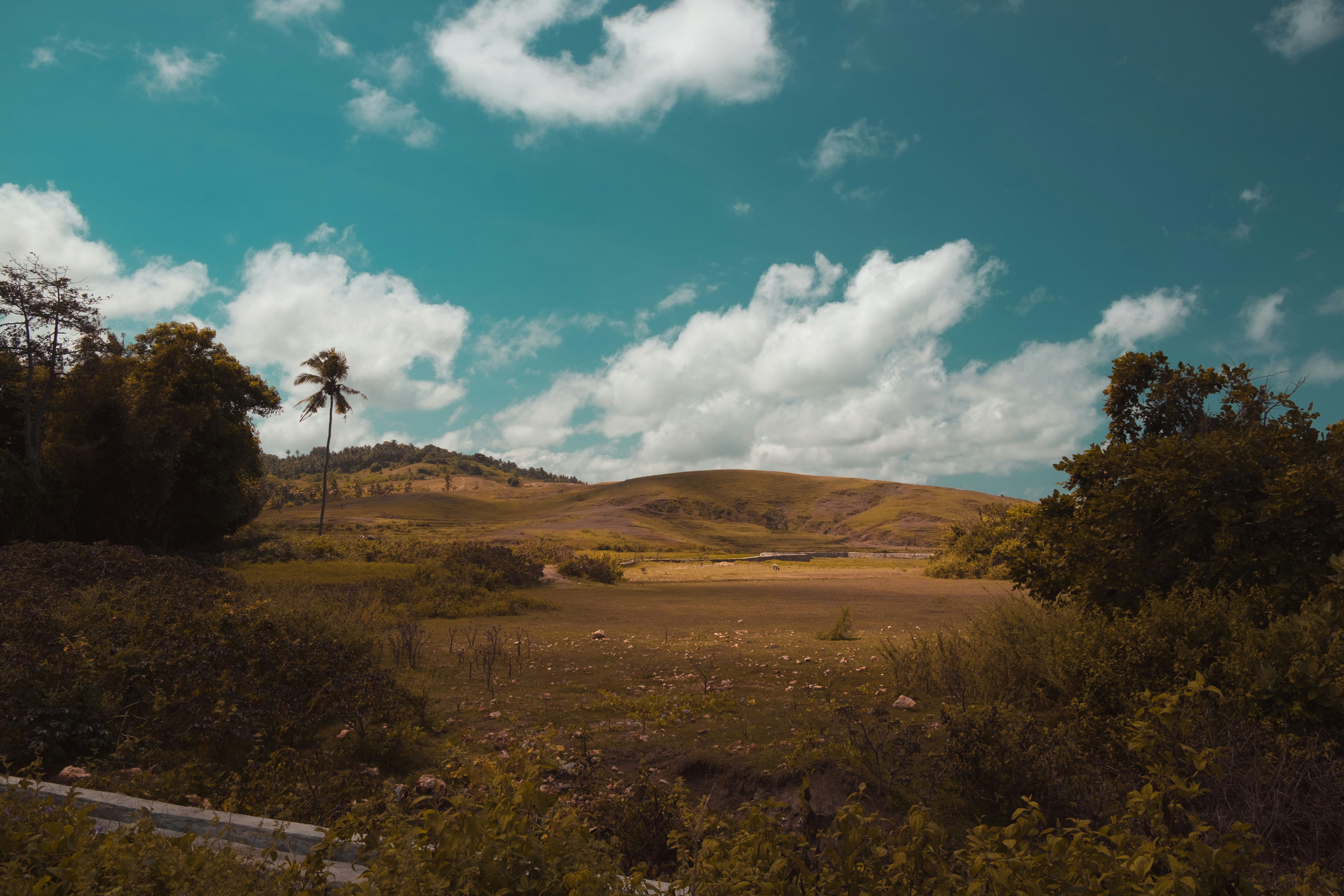 Sumba, Indonesia - Lamboya Hills, West Sumba, NTT