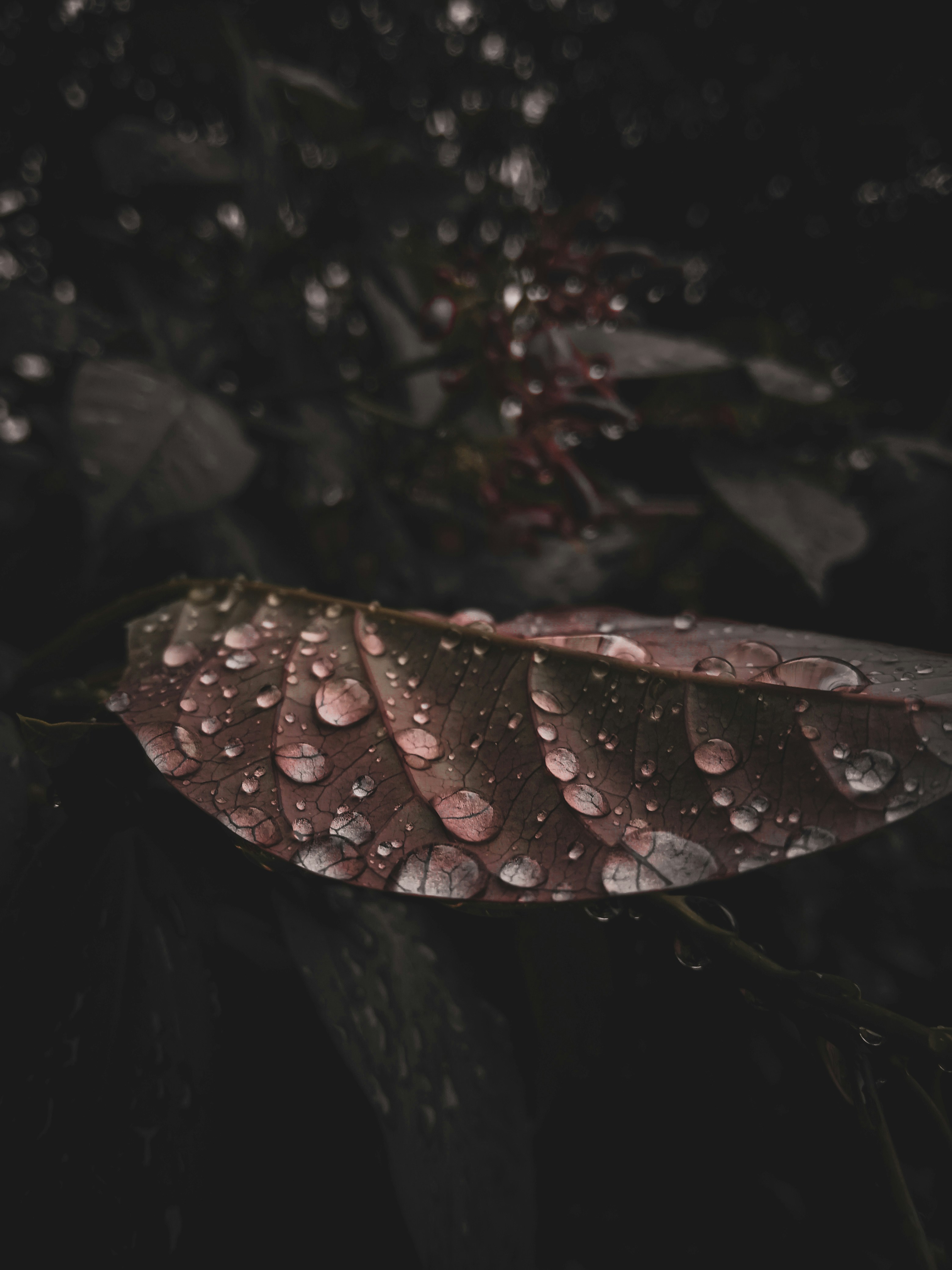 Photo by its__strange__