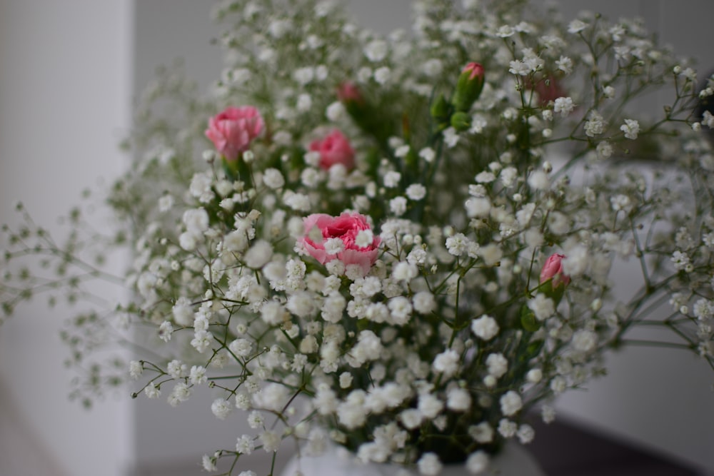 white and pink flowers