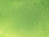 Aerial view of a lush green farm with diverse crops.