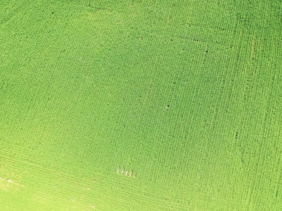 Aerial view of a vast green agricultural field with a farmer inspecting crops.
