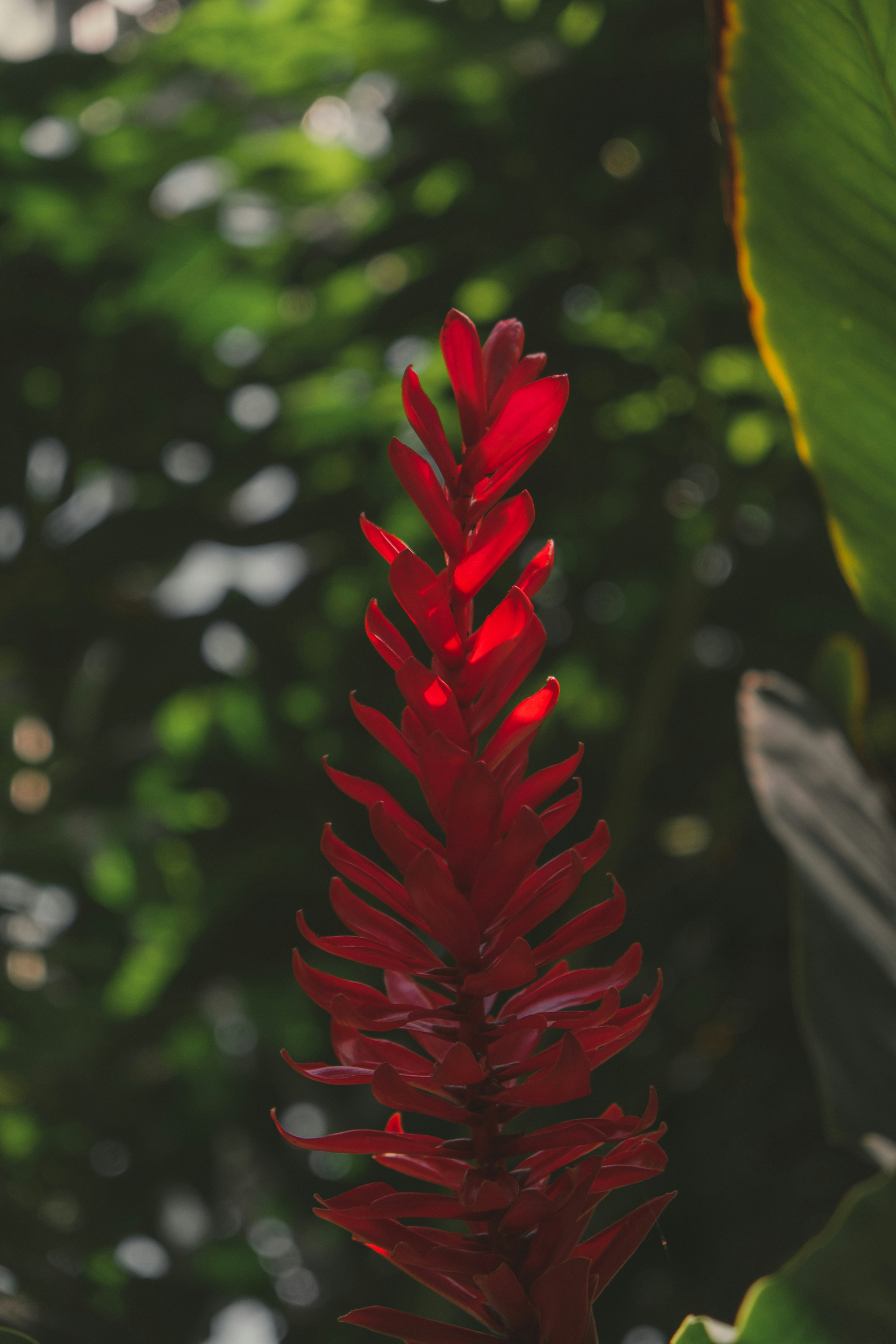 Photo by mimoto_photo