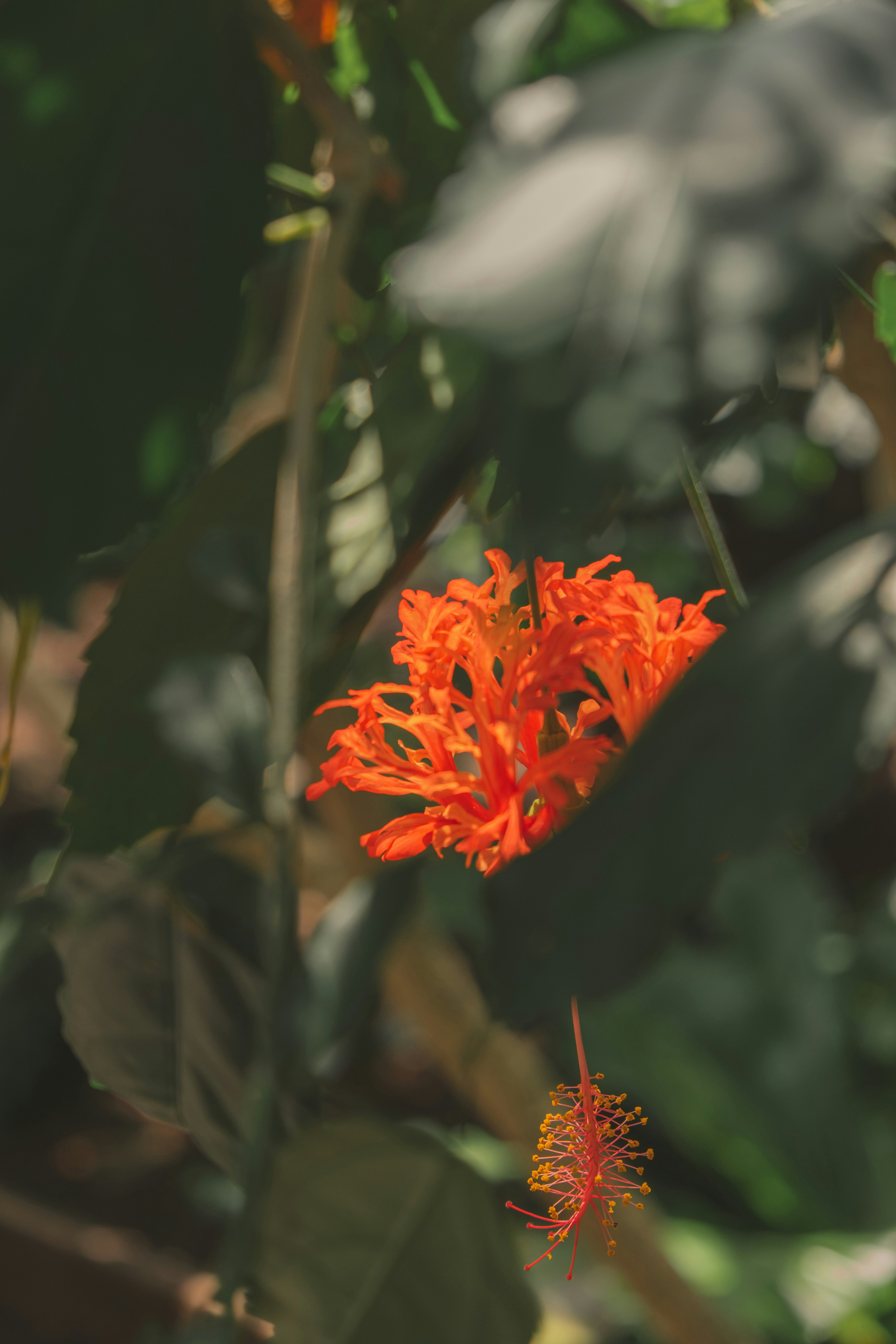 Photo by mimoto_photo